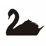 Forex Black Swan