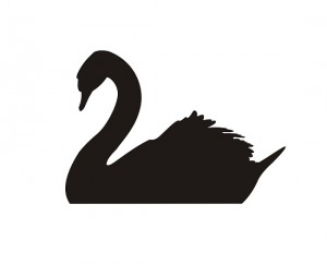 Black Swan