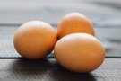 Dead Cats Chickens and Eggs